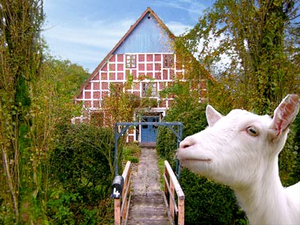 Jugendhof Haus mit Ziege