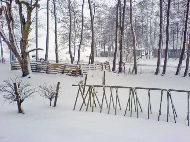 10GartenSchnee.jpg